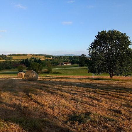 Szewska Pasja Agroturystyka Wiejska Leśna Extérieur photo