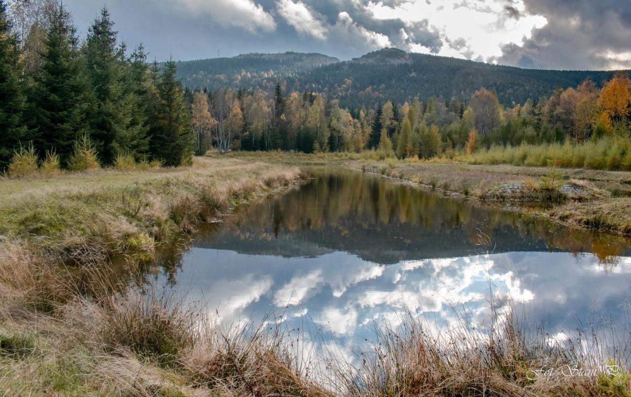 Szewska Pasja Agroturystyka Wiejska Leśna Extérieur photo