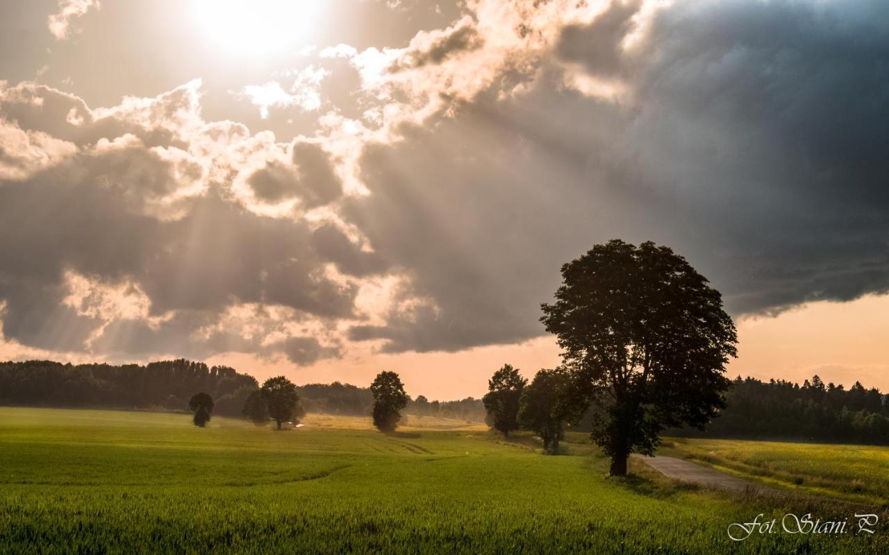 Szewska Pasja Agroturystyka Wiejska Leśna Extérieur photo