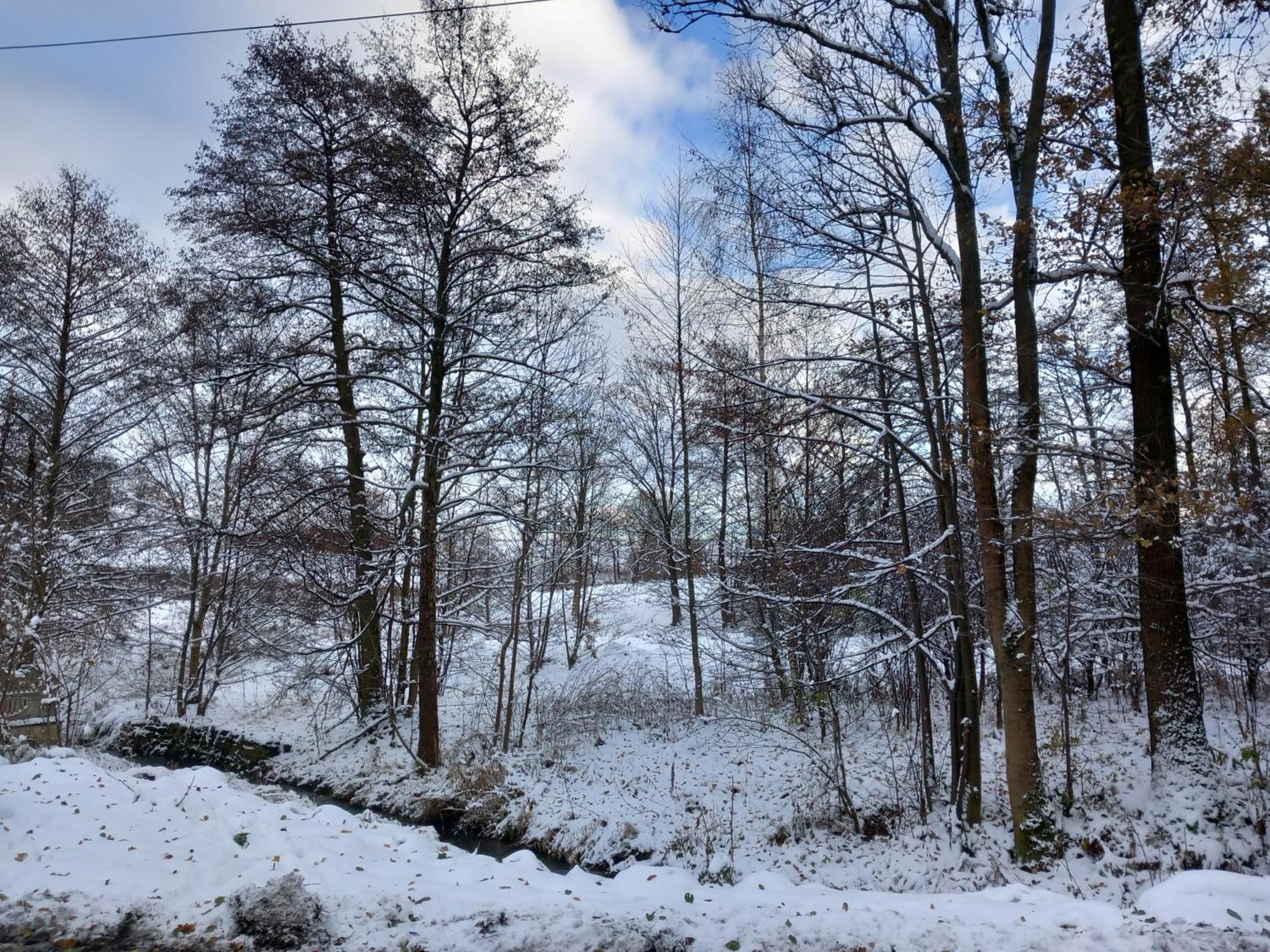 Szewska Pasja Agroturystyka Wiejska Leśna Extérieur photo