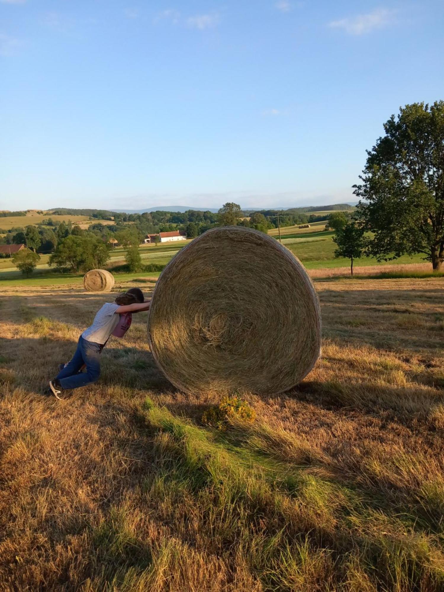 Szewska Pasja Agroturystyka Wiejska Leśna Extérieur photo