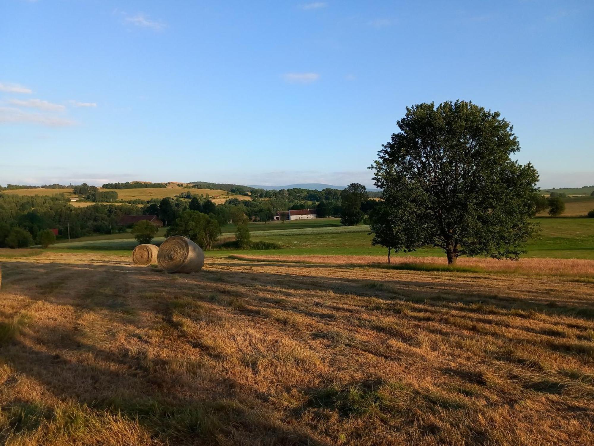 Szewska Pasja Agroturystyka Wiejska Leśna Extérieur photo