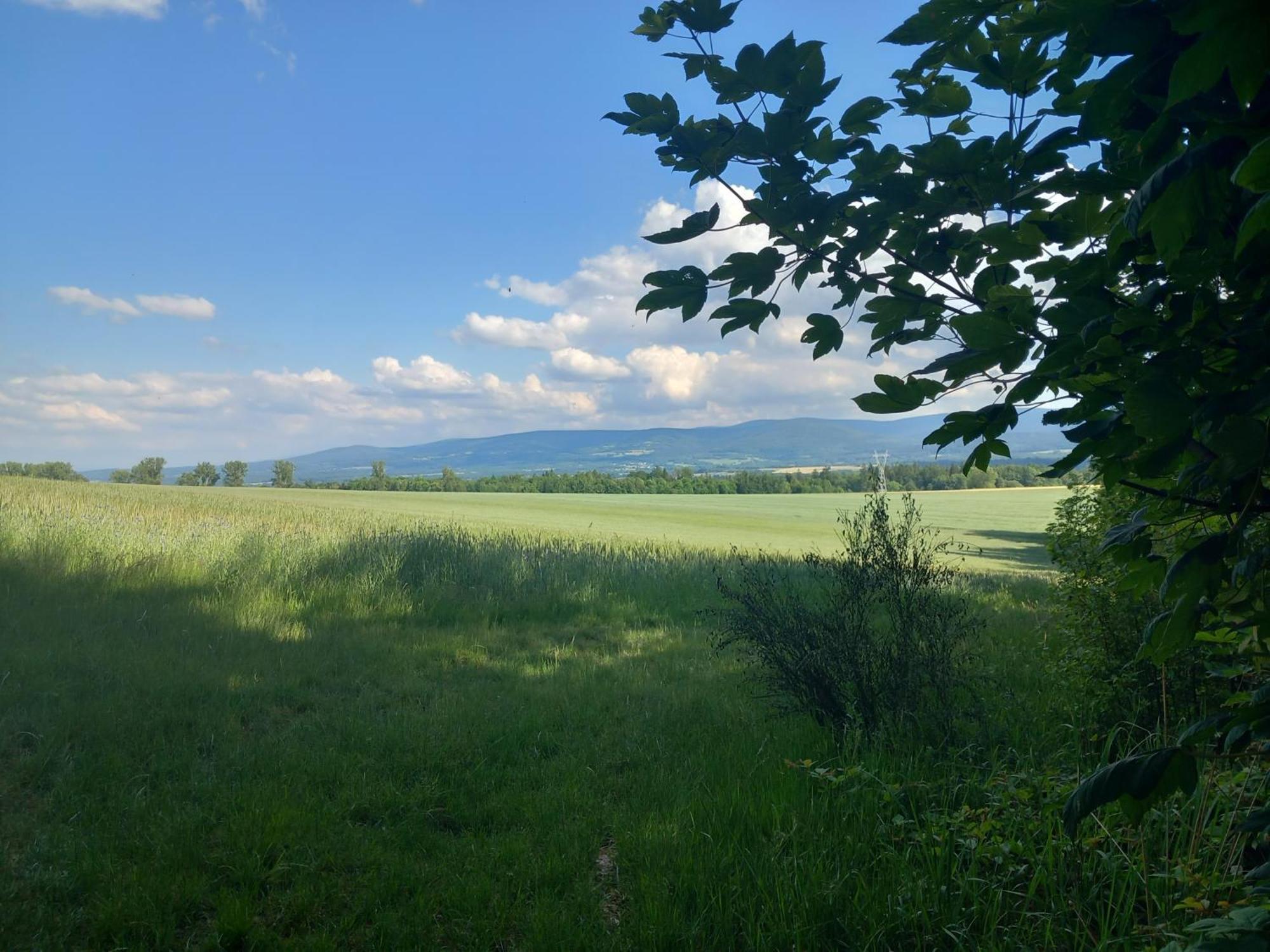 Szewska Pasja Agroturystyka Wiejska Leśna Extérieur photo